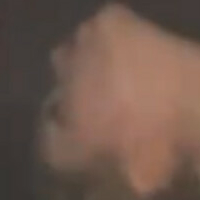 Taybisox Nøgen